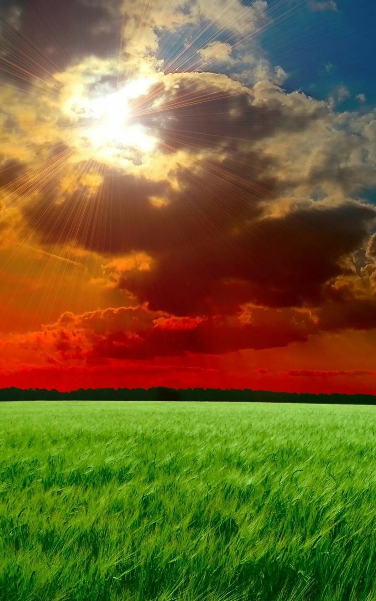 Моя тестовая школа!